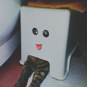 Meet your Posher, Fernando